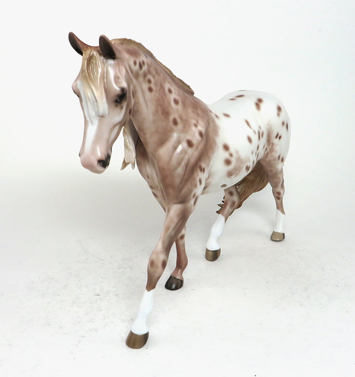 Chestnut Appaloosa
