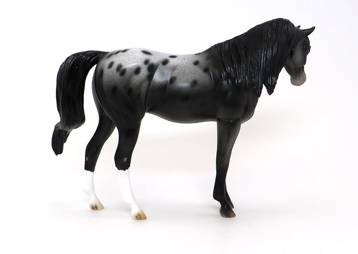 ARABIAN LIMITED EDITION