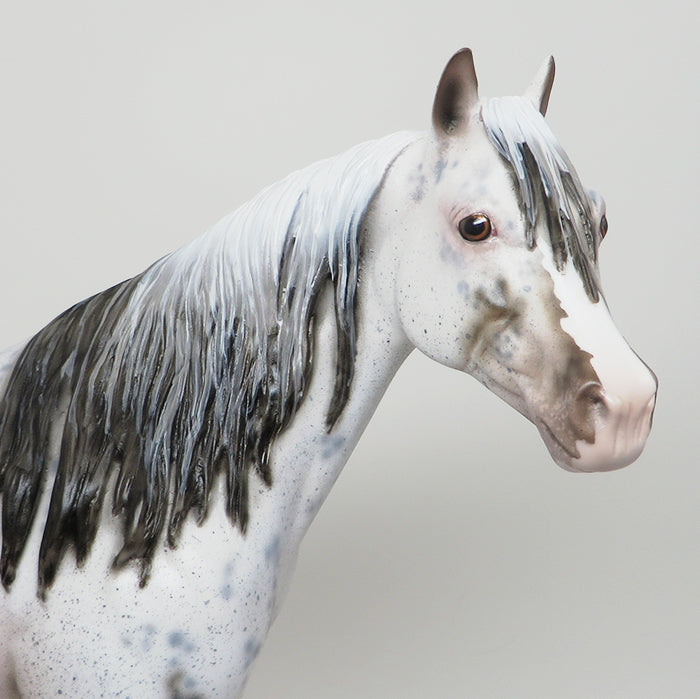 SNOW CHIEF - OOAK APPALOOSA ISH MODEL HORSE - 1/22