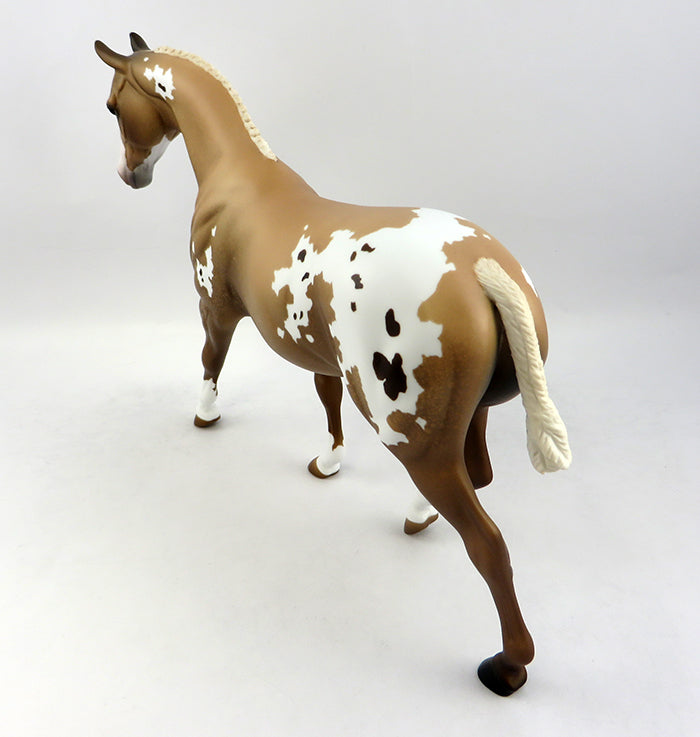Appaloosa