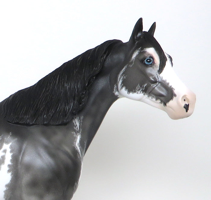 PAWNEE - OOAK ETCHED BLACK SABINO MODEL HORSE by DAWN QUICK - 1/22