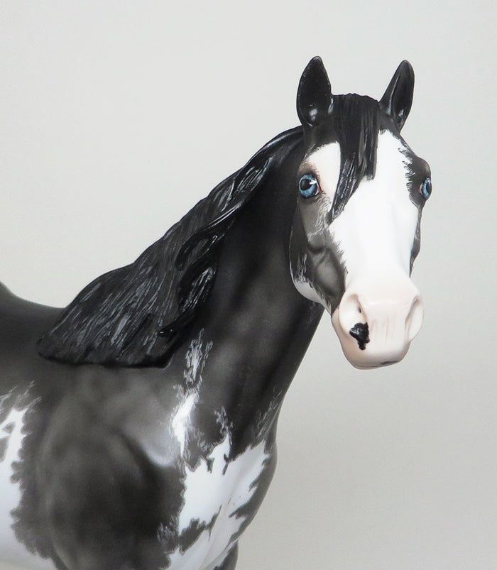 PAWNEE - OOAK ETCHED BLACK SABINO MODEL HORSE by DAWN QUICK - 1/22