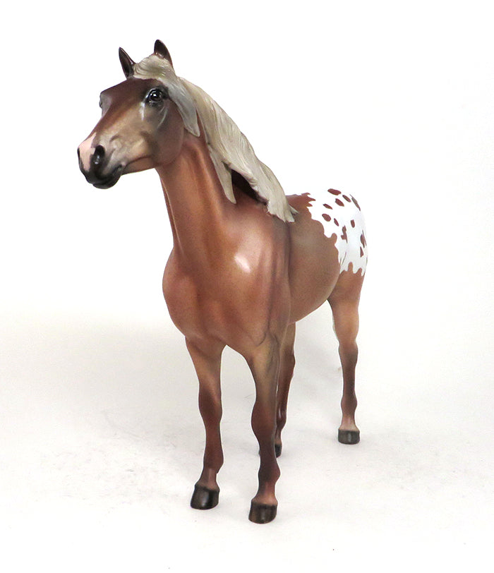 Appaloosa Mustang