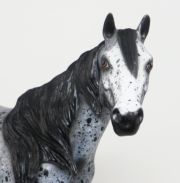 BLACKFOOT - OOAK BLACK APPALOOSA ISH MODEL HORSE by AL - 1/22