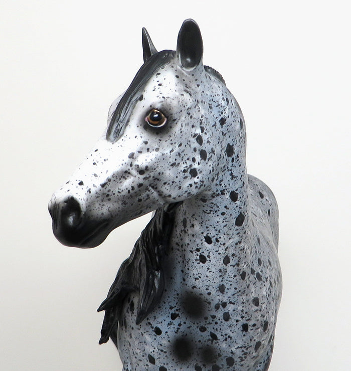 BLACKFOOT - OOAK BLACK APPALOOSA ISH MODEL HORSE by AL - 1/22