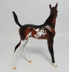 FOAL