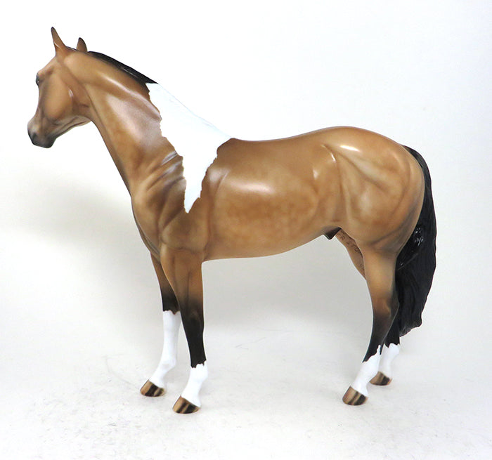 Buckskin Paint ISH