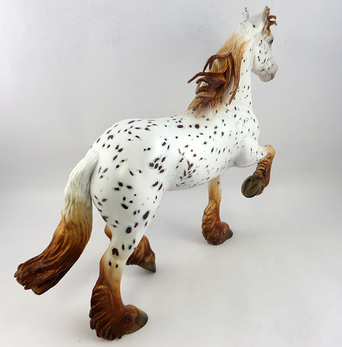 Appaloosa