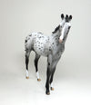 Oe of a Kind Horse