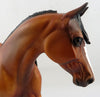 ARCHER-OOAK BAY PALOUSE MODEL HORSE 12/22