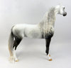 LOVE HURTS-OOAK DAPPLE GREY PUDDLE TAIL ARABIAN MODEL HORSE 12/20