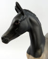 Filly