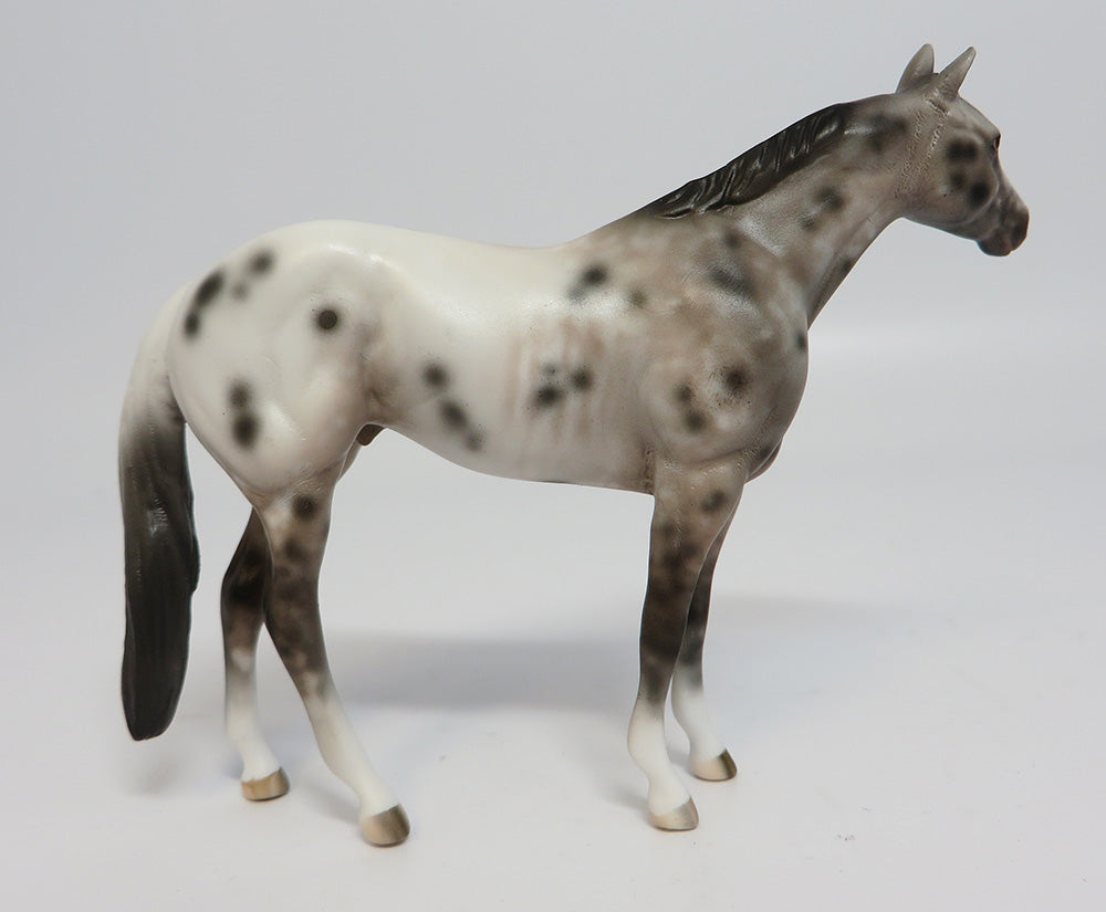 OKIE DOKIE~OOAK APPALOOSA QUARTER HORSE CHIP BY SHERYL LEISURE 5/24