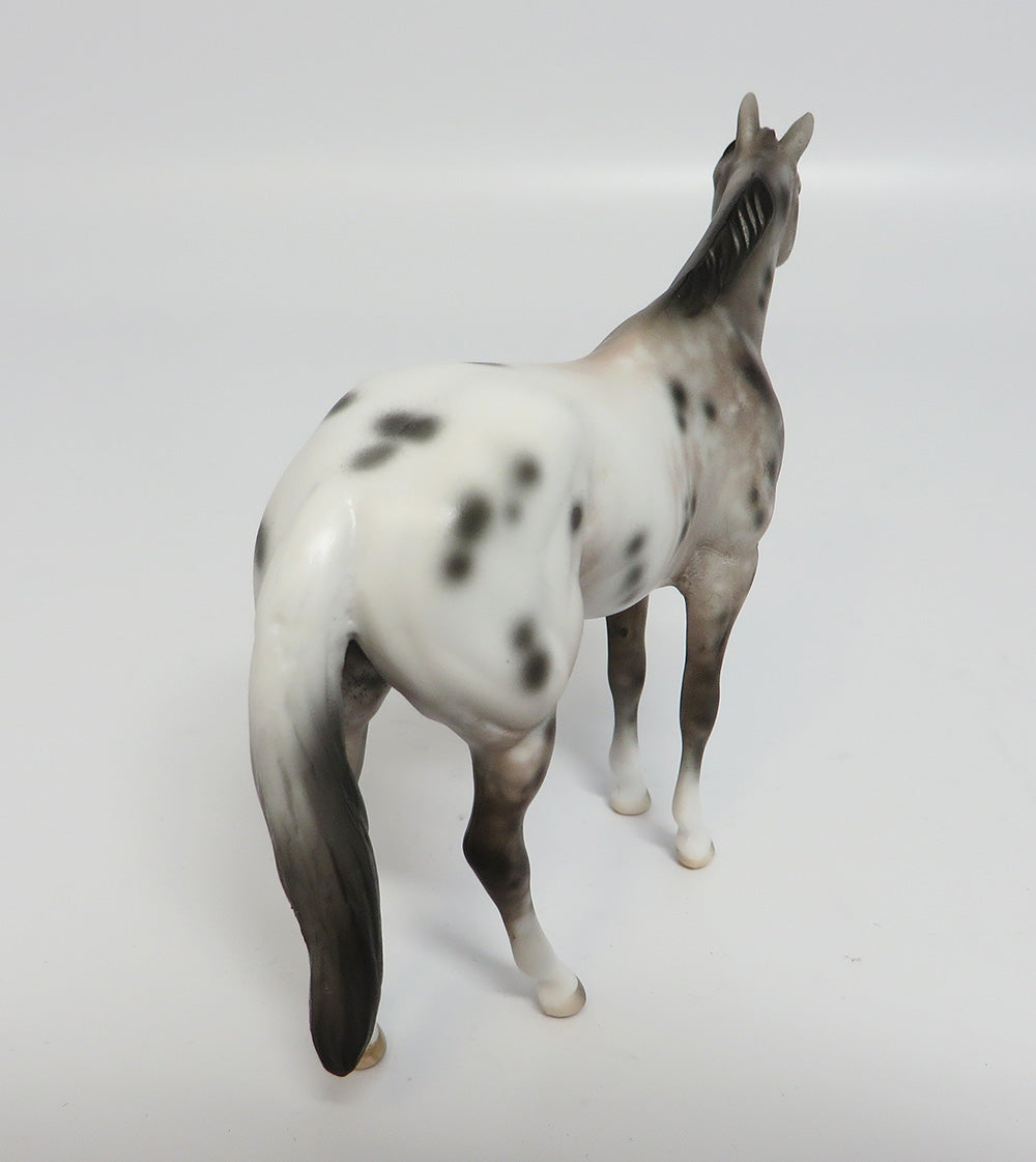 OKIE DOKIE~OOAK APPALOOSA QUARTER HORSE CHIP BY SHERYL LEISURE 5/24