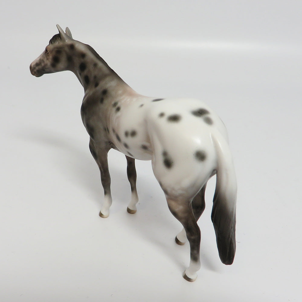 OKIE DOKIE~OOAK APPALOOSA QUARTER HORSE CHIP BY SHERYL LEISURE 5/24