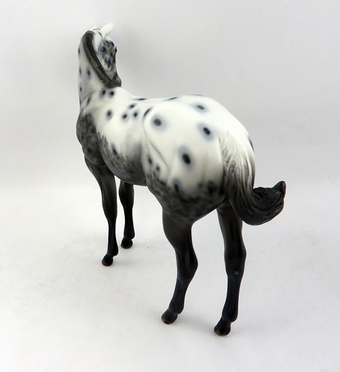 appaloosa