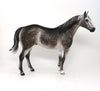 Custom Model horse