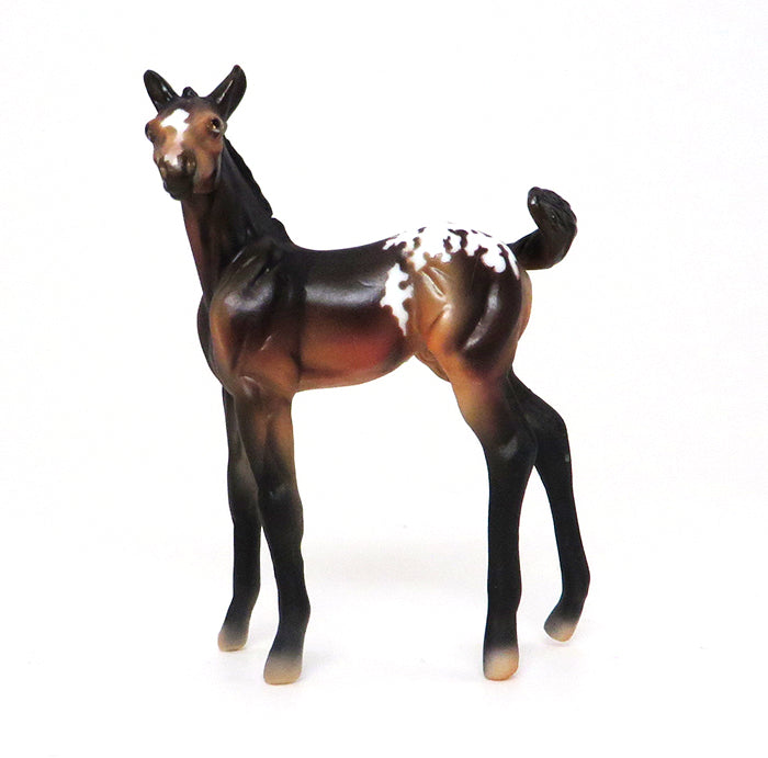 TICKLE ME PICKLES-BAY APPALOOSA-FOAL-CHIPS- LE-5 10/7