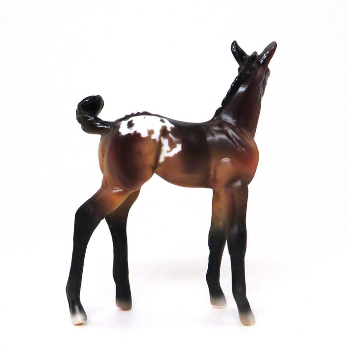 TICKLE ME PICKLES-BAY APPALOOSA-FOAL-CHIPS- LE-5 10/7