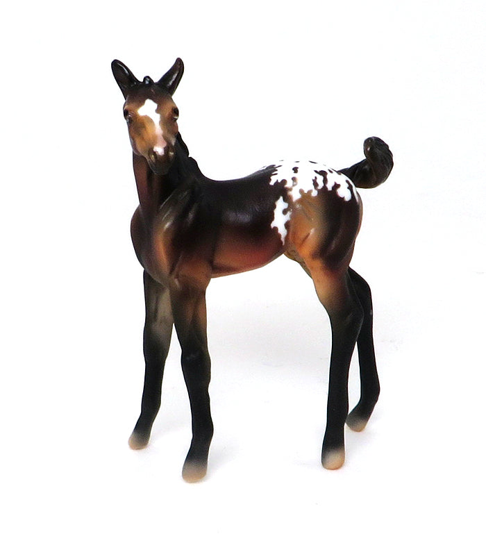 TICKLE ME PICKLES-BAY APPALOOSA-FOAL-CHIPS- LE-5 10/7