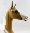 foal