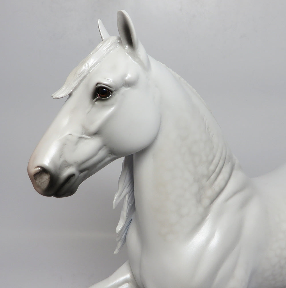 SNOW IS GLISSIN&#39;NIN&#39;-OOAK DAPPLE GREY TROTTING DRAFTER BY CARRIE KELLER 12/08/17