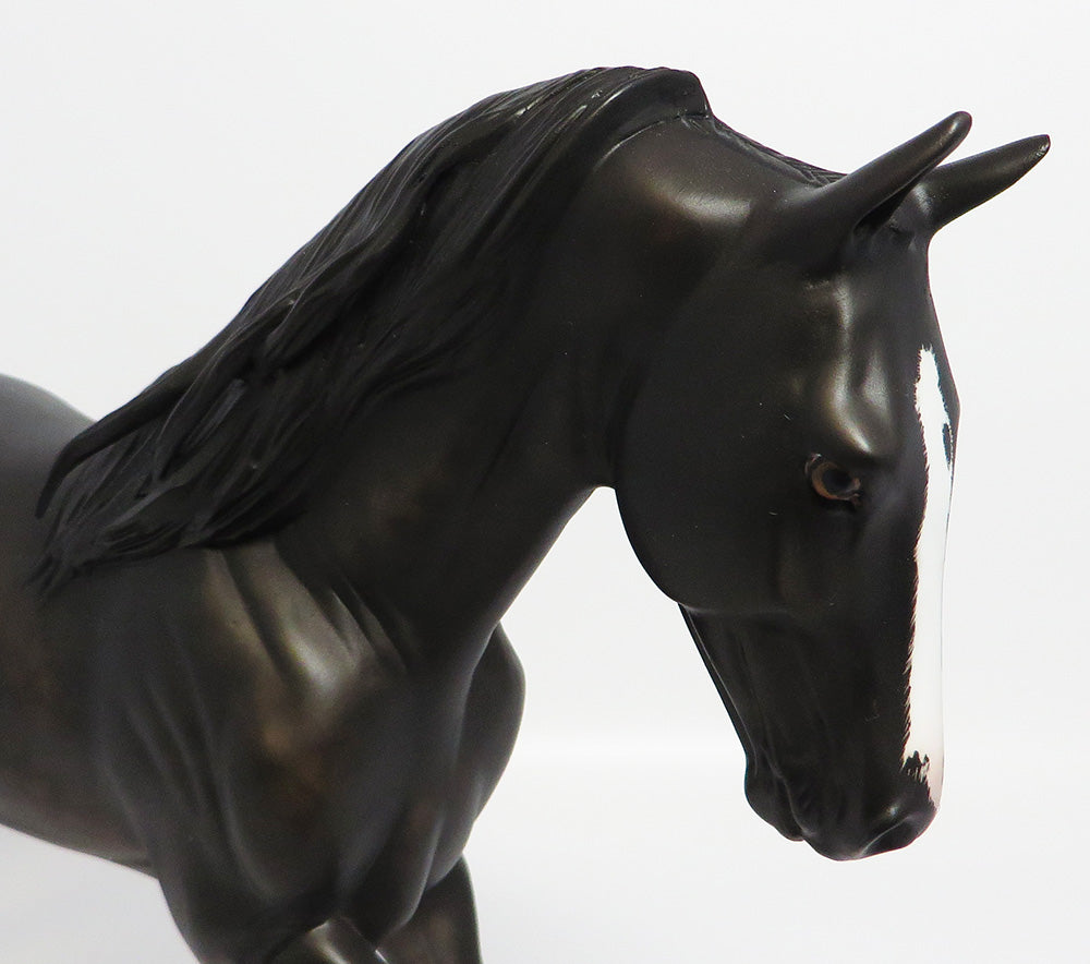 CHARLEVOIX~OOAK DAPPLE BLACK TWH EQ 2017