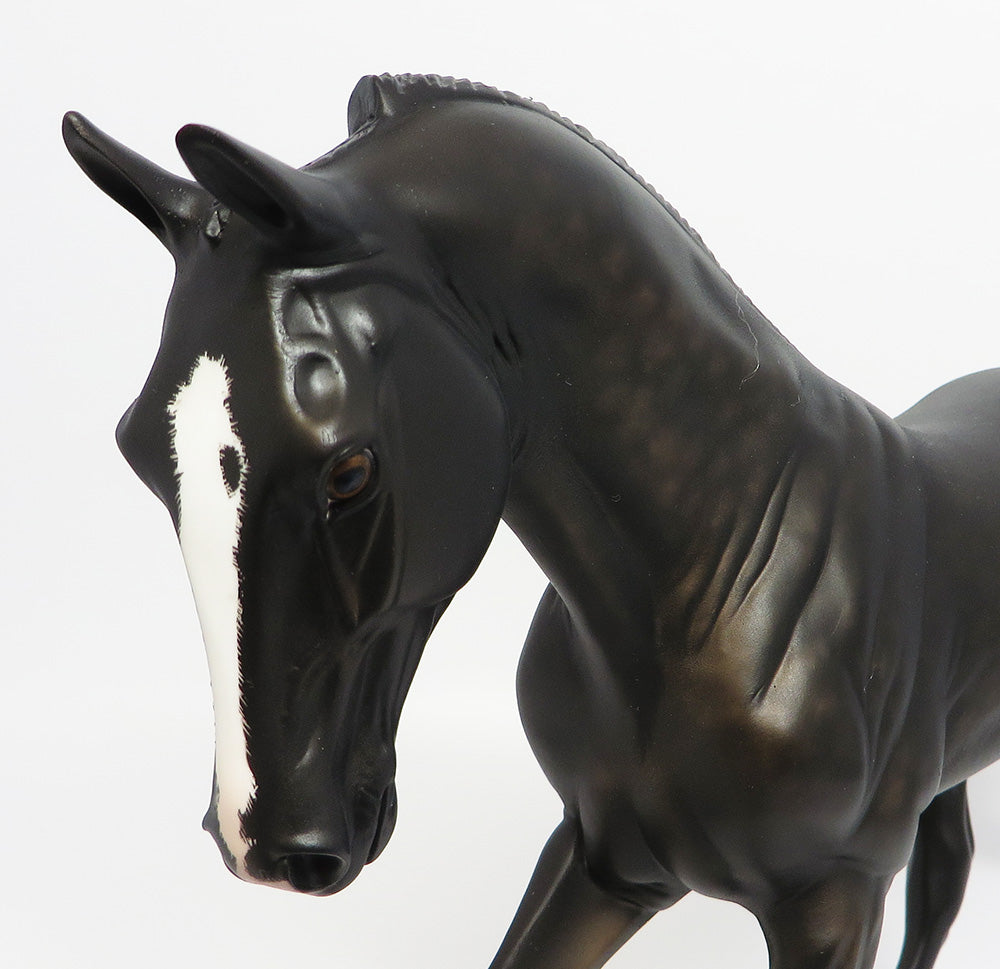 CHARLEVOIX~OOAK DAPPLE BLACK TWH EQ 2017