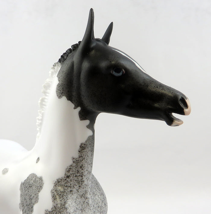 STORM IN A TEA CUP-OOAK BLUE ROAN PAINT FOAL MODEL HORSE 12/21
