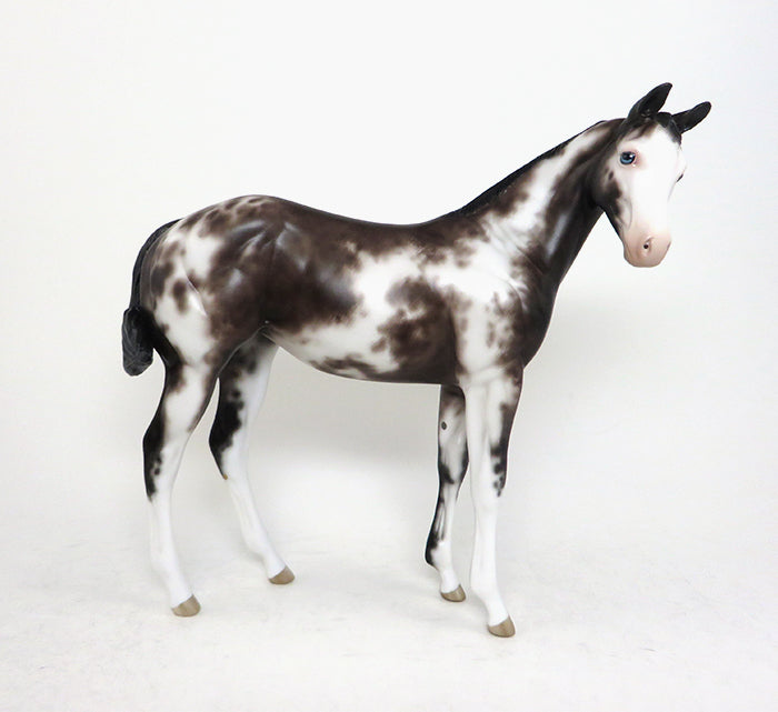 bay weanling baby blues