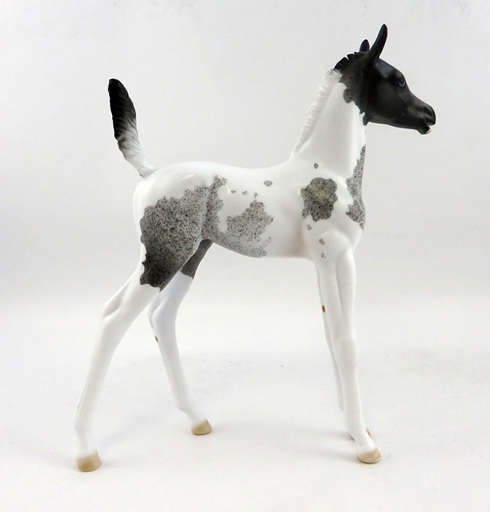 STORM IN A TEA CUP-OOAK BLUE ROAN PAINT FOAL MODEL HORSE 12/21