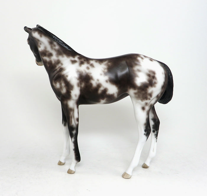 BABY BLUES - OOAK SABINO WEANLING MODEL HORSE by SHERYL LEISURE - 1/22