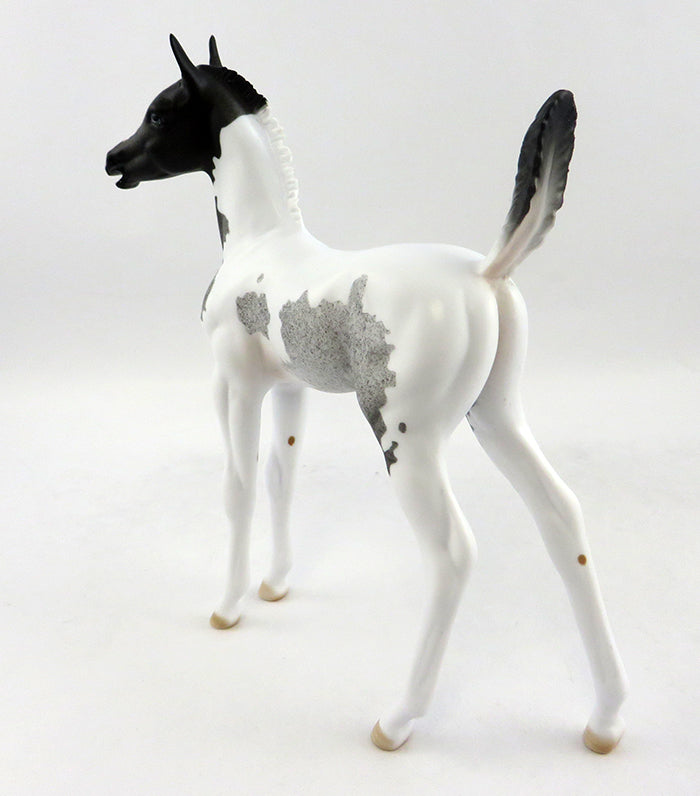 STORM IN A TEA CUP-OOAK BLUE ROAN PAINT FOAL MODEL HORSE 12/21