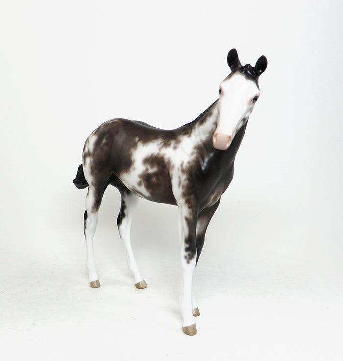 BABY BLUES - OOAK SABINO WEANLING MODEL HORSE by SHERYL LEISURE - 1/22