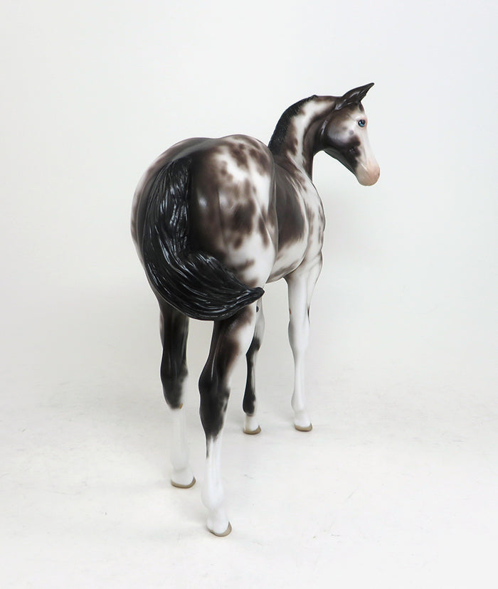 BABY BLUES - OOAK SABINO WEANLING MODEL HORSE by SHERYL LEISURE - 1/22