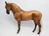 Andalusian