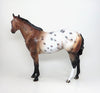 wildtime appaloosa 