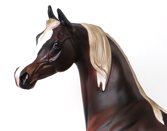 MAGICAL MYSTERY TOUR-CHESTNUT ARABIAN-OOAK 9/25