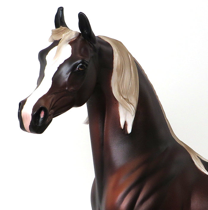 MAGICAL MYSTERY TOUR-CHESTNUT ARABIAN-OOAK 9/25