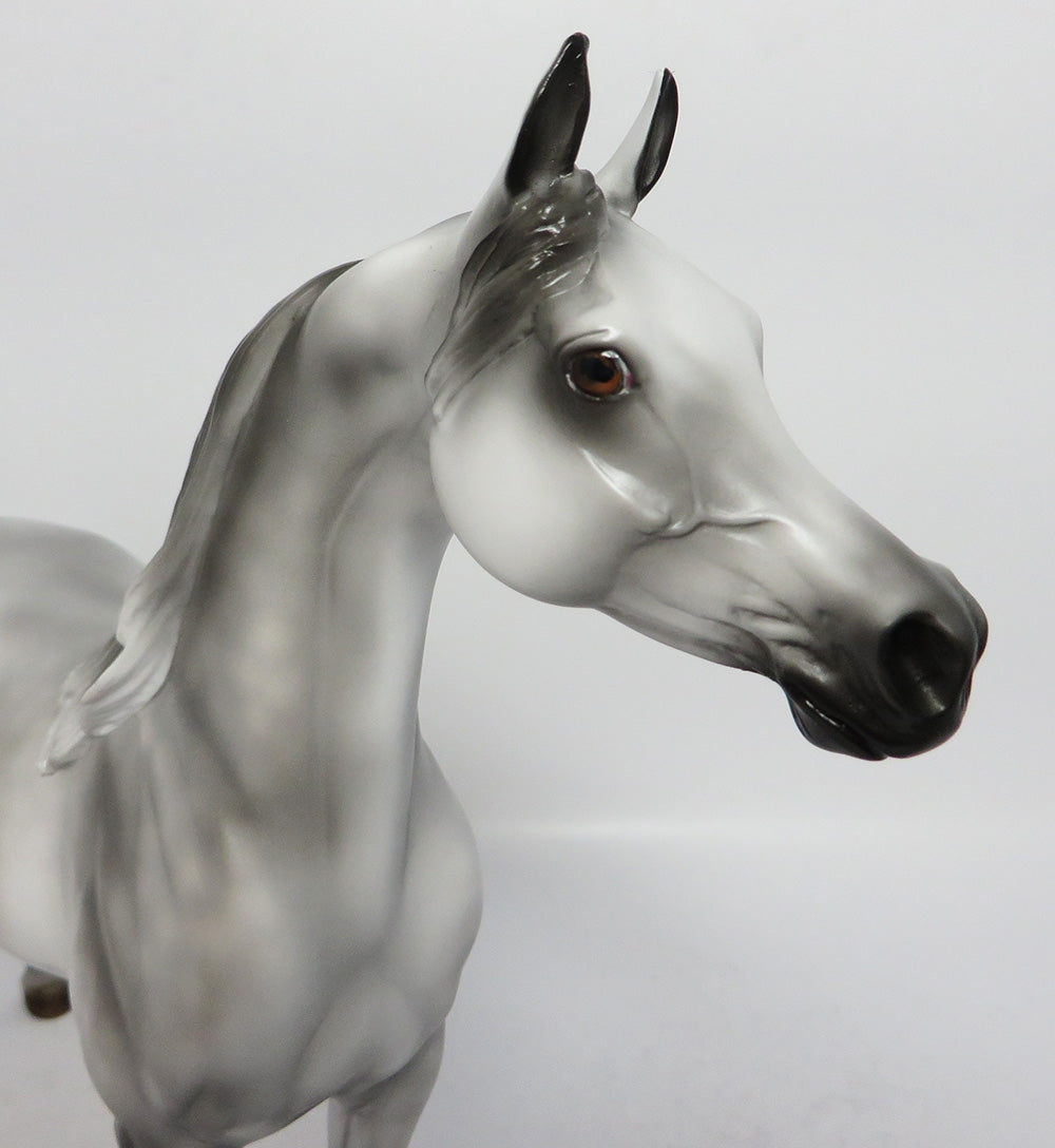 SYMPHONY~OOAK DAPPLE GREY ARABIAN MODEL HORSE BY MISSY FOX 12/12/17