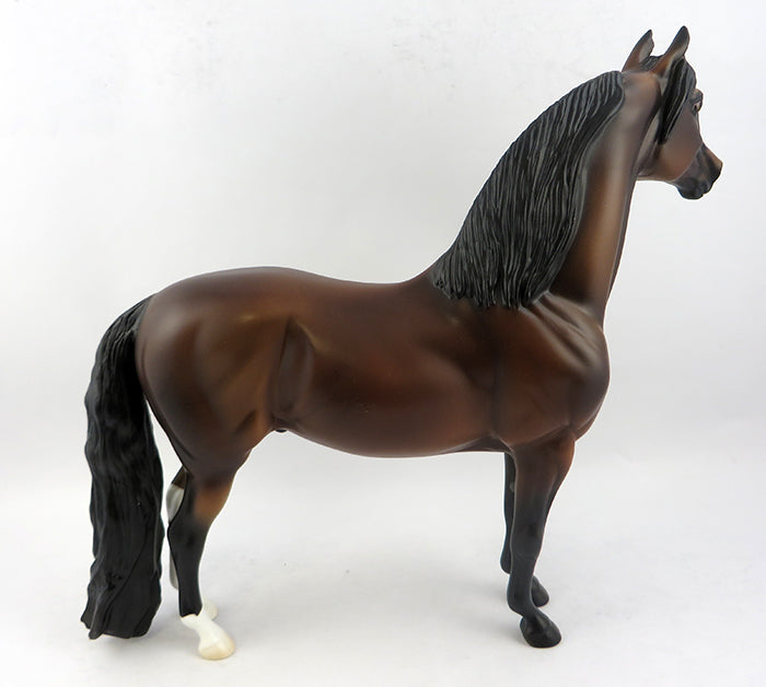 Morgan Horse