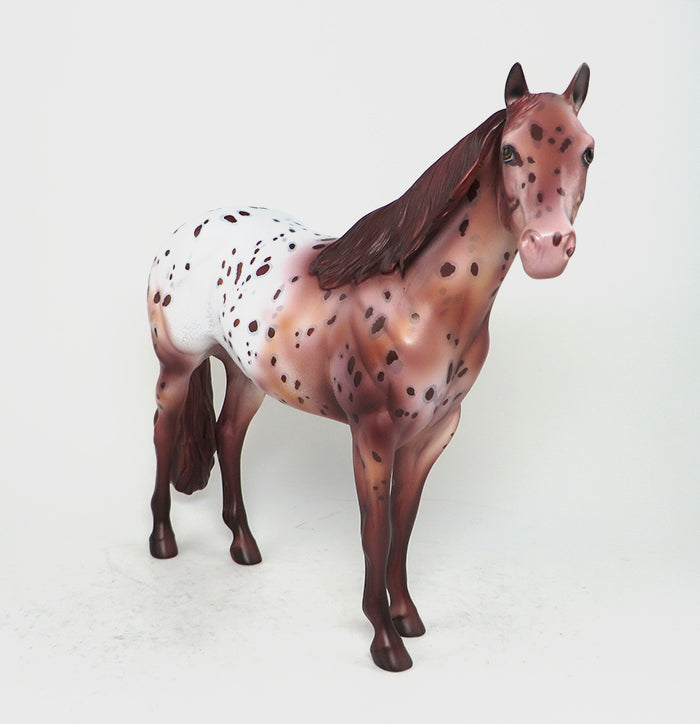 CHESTNUT APPALOOSA ISH