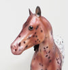 LIMITED EDITION APPALOOSA