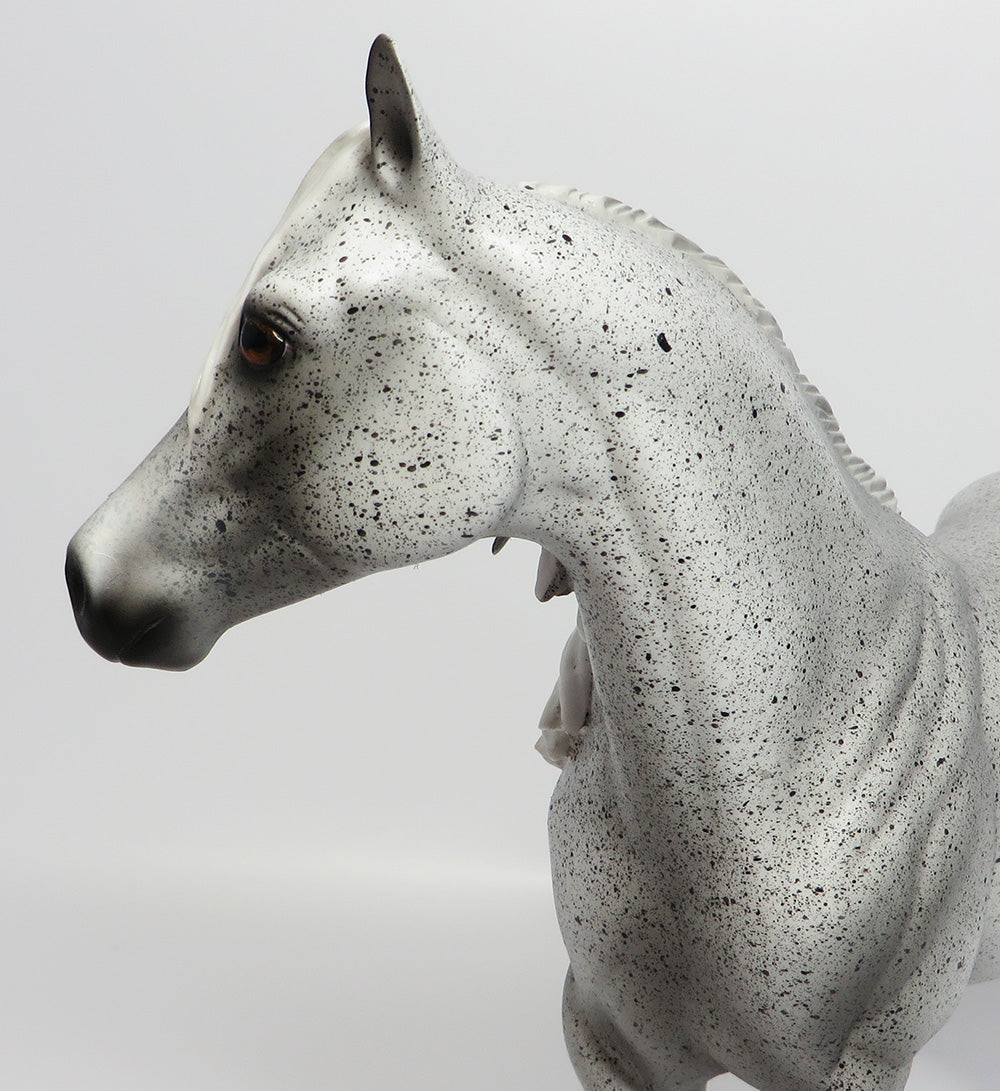PEPPER JACK~OOAK FLEABIT GREY ISH MODEL HORSE BY DAWN QUICK 5/26