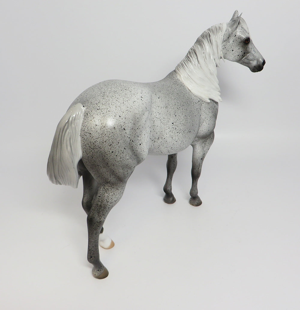 PEPPER JACK~OOAK FLEABIT GREY ISH MODEL HORSE BY DAWN QUICK 5/26