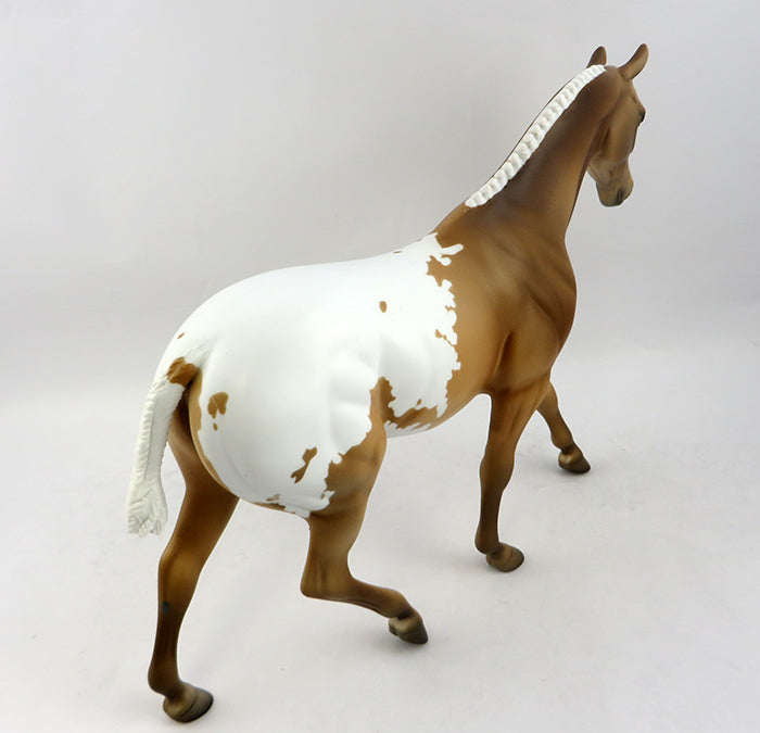 Appaloosa