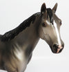 GRULLA
