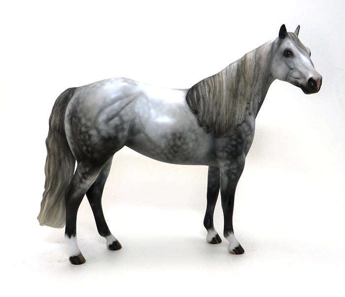 ALLIE - OOAK Dappled Grey Stock Horse 9/25