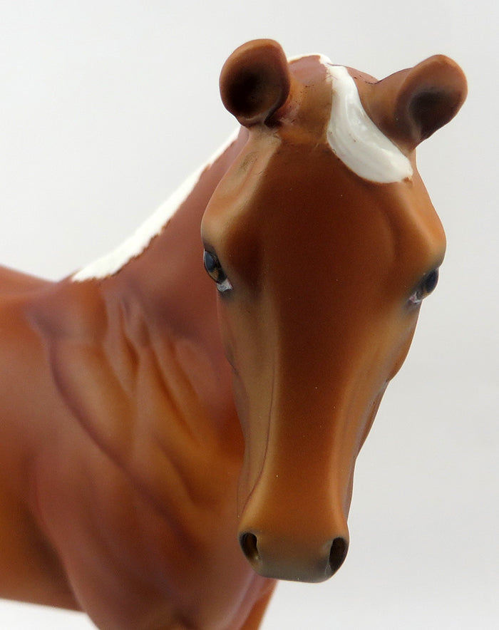 JINX-OOAK CHESTNUT NO SPOT BLANET APPALOOSA WEANLING MODEL HORSE 12/22