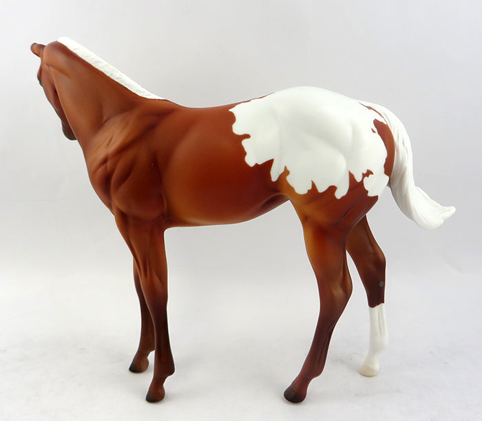 JINX-OOAK CHESTNUT NO SPOT BLANET APPALOOSA WEANLING MODEL HORSE 12/22